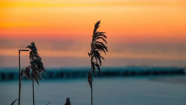 Zimowy wschód słońca nad jeziorem Dargin i... -27 stopni - zdjęcie 11