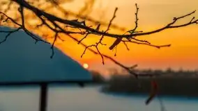 Zimowy wschód słońca nad jeziorem Dargin i... -27 stopni - zdjęcie 59