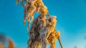 Zimowy wschód słońca nad jeziorem Dargin i... -27 stopni - zdjęcie 17