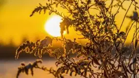 Zimowy wschód słońca nad jeziorem Dargin i... -27 stopni - zdjęcie 95