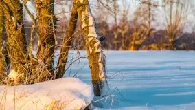 Zimowy wschód słońca nad jeziorem Dargin i... -27 stopni - zdjęcie 102