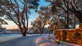 Zachód słońca nad jeziorem Święcajty, Cmentarz wojenny Jagerhohe - zdjęcie 27