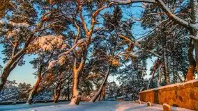 Zachód słońca nad jeziorem Święcajty, Cmentarz wojenny Jagerhohe - zdjęcie 5