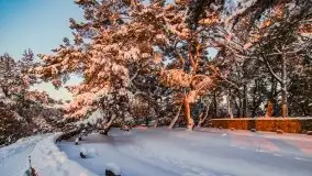 Zachód słońca nad jeziorem Święcajty, Cmentarz wojenny Jagerhohe - zdjęcie 42