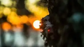 Zachód słońca nad jeziorem Święcajty, Cmentarz wojenny Jagerhohe - zdjęcie 51