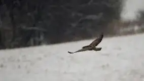 Mazurska zima na zdjęciach Staszka Sielewicza - zdjęcie 5