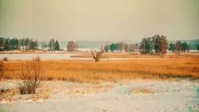 Mazurska zima na zdjęciach Staszka Sielewicza - zdjęcie 41