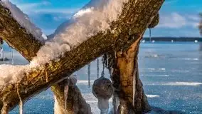 Zimowy Dargin i port Nowy Harsz - zdjęcie 31