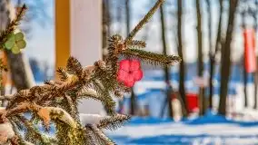 Stanica Wodna Stranda w zimowej scenerii - zdjęcie 47