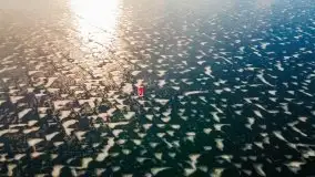 Bojery na jeziorze Dargin 2021 cz. 1 - zdjęcie 27