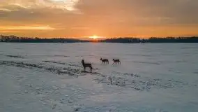 Wschód słońca w okolicach Sztynortu, zima 2021 - zdjęcie 21