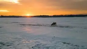 Wschód słońca w okolicach Sztynortu, zima 2021 - zdjęcie 26