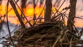 Wschód słońca w okolicach Sztynortu, zima 2021 - zdjęcie 25