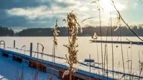 Port w Sztynorcie w zimowej scenerii, styczeń 2021 r. - zdjęcie 58