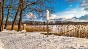 Port w Sztynorcie w zimowej scenerii, styczeń 2021 r. - zdjęcie 46