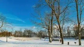 Port w Sztynorcie w zimowej scenerii, styczeń 2021 r. - zdjęcie 77