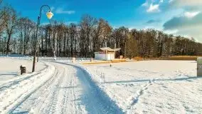 Port w Sztynorcie w zimowej scenerii, styczeń 2021 r. - zdjęcie 74