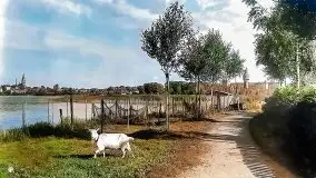 Przedwojenne pokolorowane zdjęcia Szczytna (Ortelsburg) - zdjęcie 7