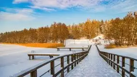 Zimowe Wydminy przed zachodem słońca, styczeń 2021 r. - zdjęcie 10