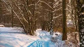 Zimowe Wydminy przed zachodem słońca, styczeń 2021 r. - zdjęcie 25