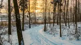 Zimowe Wydminy przed zachodem słońca, styczeń 2021 r. - zdjęcie 36