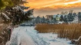 Zimowe Wydminy przed zachodem słońca, styczeń 2021 r. - zdjęcie 89