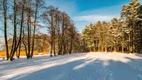 Kolejna dawka pięknej, mazurskiej zimy przy jez. Dargin - zdjęcie 8