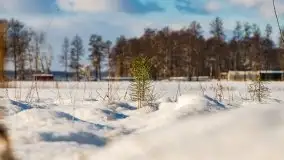 Kolejna dawka pięknej, mazurskiej zimy przy jez. Dargin - zdjęcie 30