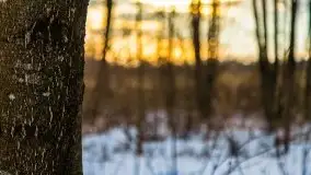 Zachód słońca w okolicach zimowych Kruklanek - zdjęcie 32