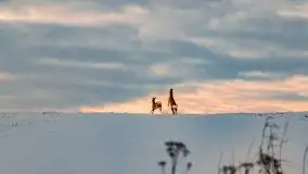 Zachód słońca w okolicach zimowych Kruklanek - zdjęcie 58