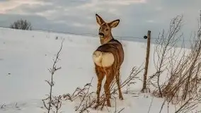 Zachód słońca w okolicach zimowych Kruklanek - zdjęcie 78