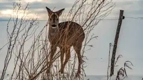 Zachód słońca w okolicach zimowych Kruklanek - zdjęcie 87