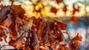 Zachód słońca w okolicach Starych Juch, 02.2021 - zdjęcie 13