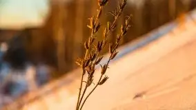 Zachód słońca w okolicach Starych Juch, 02.2021 - zdjęcie 39