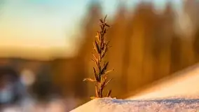 Zachód słońca w okolicach Starych Juch, 02.2021 - zdjęcie 56