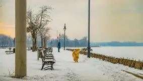 Wschód słońca w Giżycku w zimowej oprawie, 02.2021 - zdjęcie 52