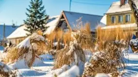 Mikołajki w zimowej scenerii, luty 2021 r. - zdjęcie 18