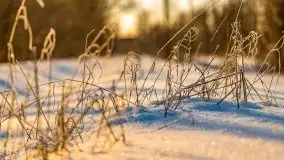 Mikołajki w zimowej scenerii, luty 2021 r. - zdjęcie 5