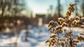 Mikołajki w zimowej scenerii, luty 2021 r. - zdjęcie 36