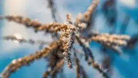 Mikołajki w zimowej scenerii, luty 2021 r. - zdjęcie 28