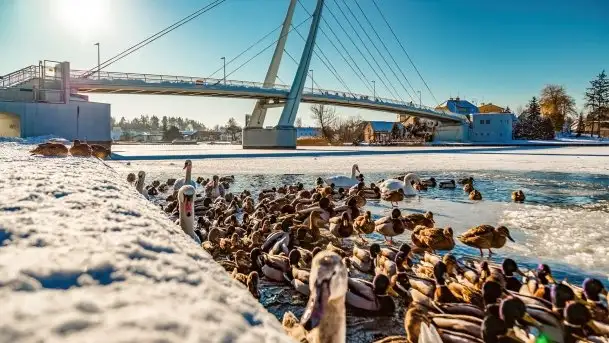 Mikołajki w zimowej scenerii, luty 2021 r. - zdjęcie 10