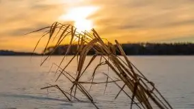 Zachód słońca Pierkunowo i okolice, luty 2021 - zdjęcie 10