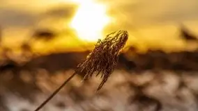 Zachód słońca Pierkunowo i okolice, luty 2021 - zdjęcie 84