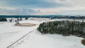 Okolice Kleszczewa w zimowej scenerii, styczeń 2021 - zdjęcie 2