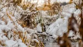 Okolice Kleszczewa w zimowej scenerii, styczeń 2021 - zdjęcie 48