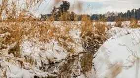 Okolice Kleszczewa w zimowej scenerii, styczeń 2021 - zdjęcie 12