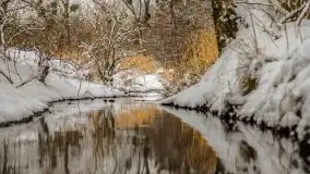 Okolice Kleszczewa w zimowej scenerii, styczeń 2021 - zdjęcie 33