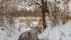 Okolice Kleszczewa w zimowej scenerii, styczeń 2021 - zdjęcie 13
