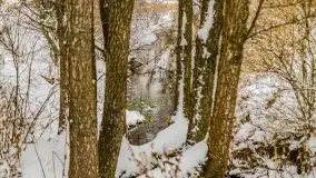 Okolice Kleszczewa w zimowej scenerii, styczeń 2021 - zdjęcie 41