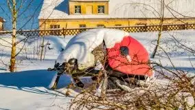 Stare Juchy w zimowej aurze, luty 2021 r. - zdjęcie 11